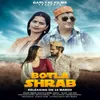 About Botla Shrab Song